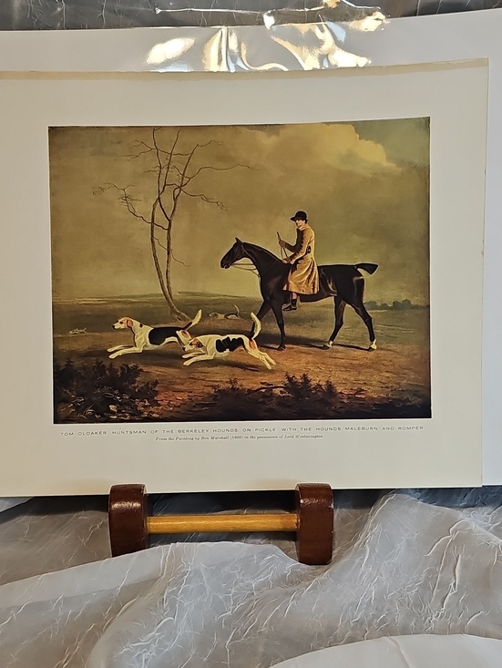 Tom Oldaker Other - Equestrian Hunting Print with Hounds - Horse & Dogs Art